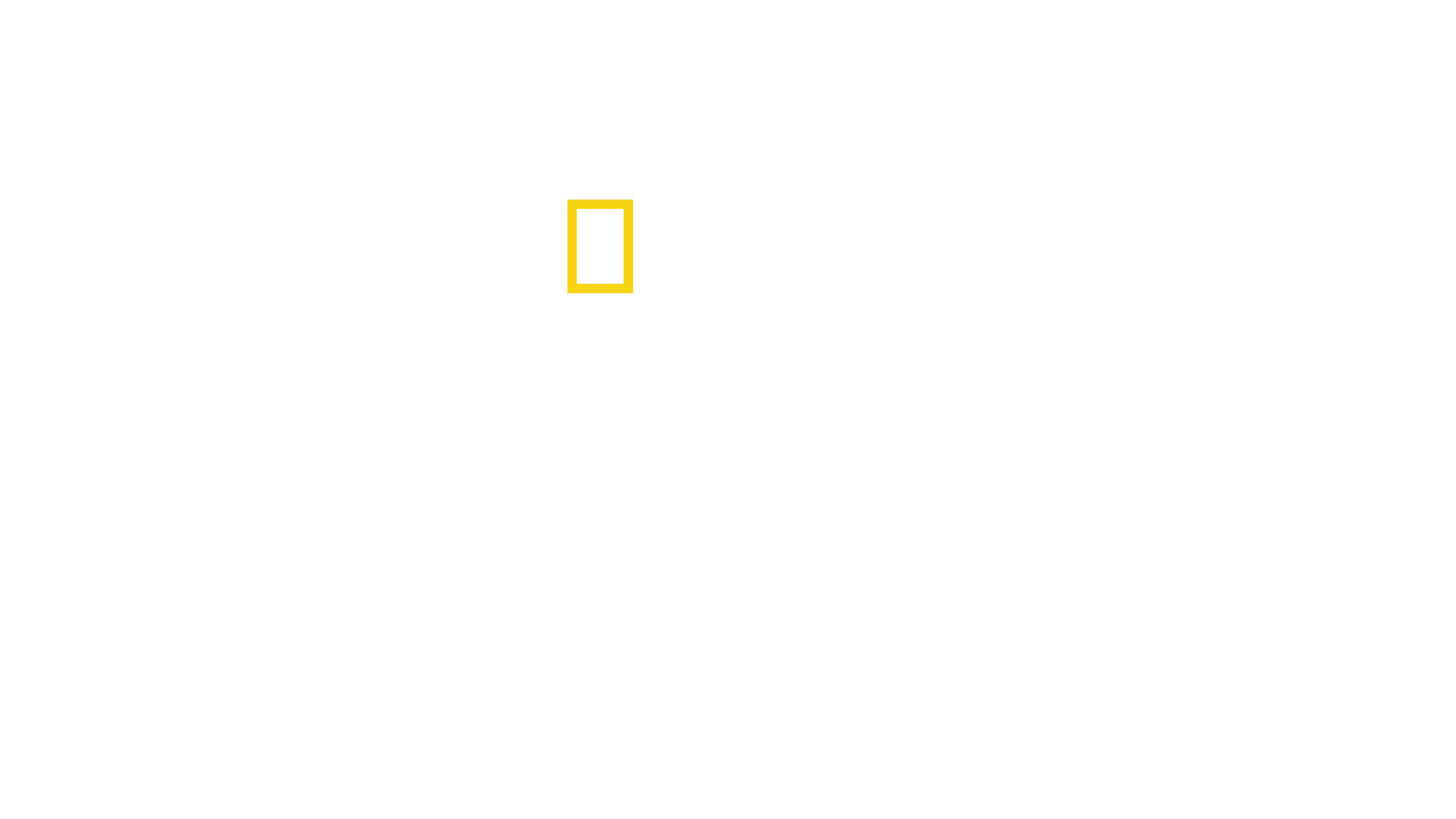 Akashinga'nın Cesur Kadınları