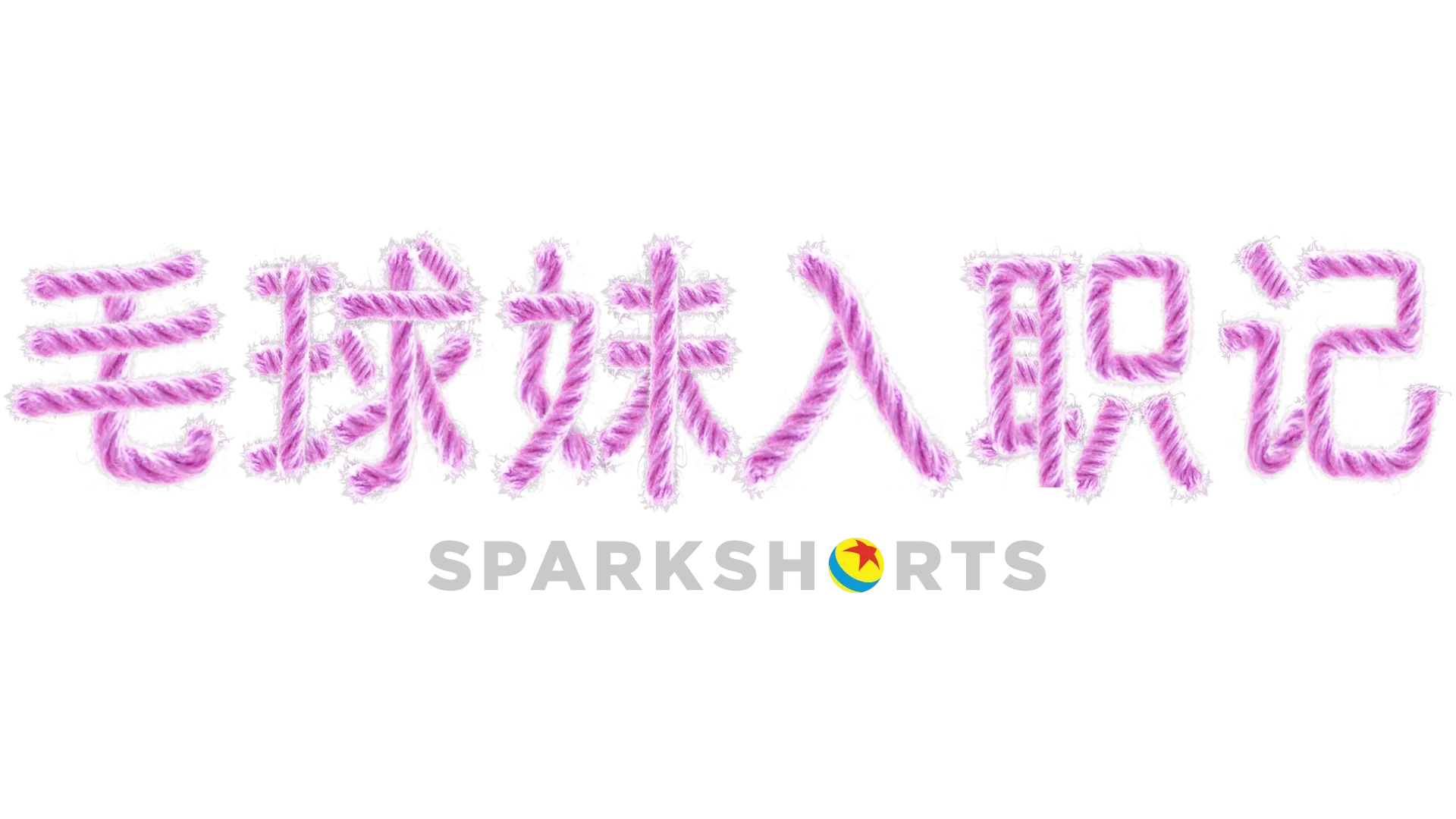 毛球妹入职记