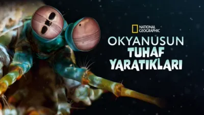 Okyanusun Tuhaf Yaratıkları