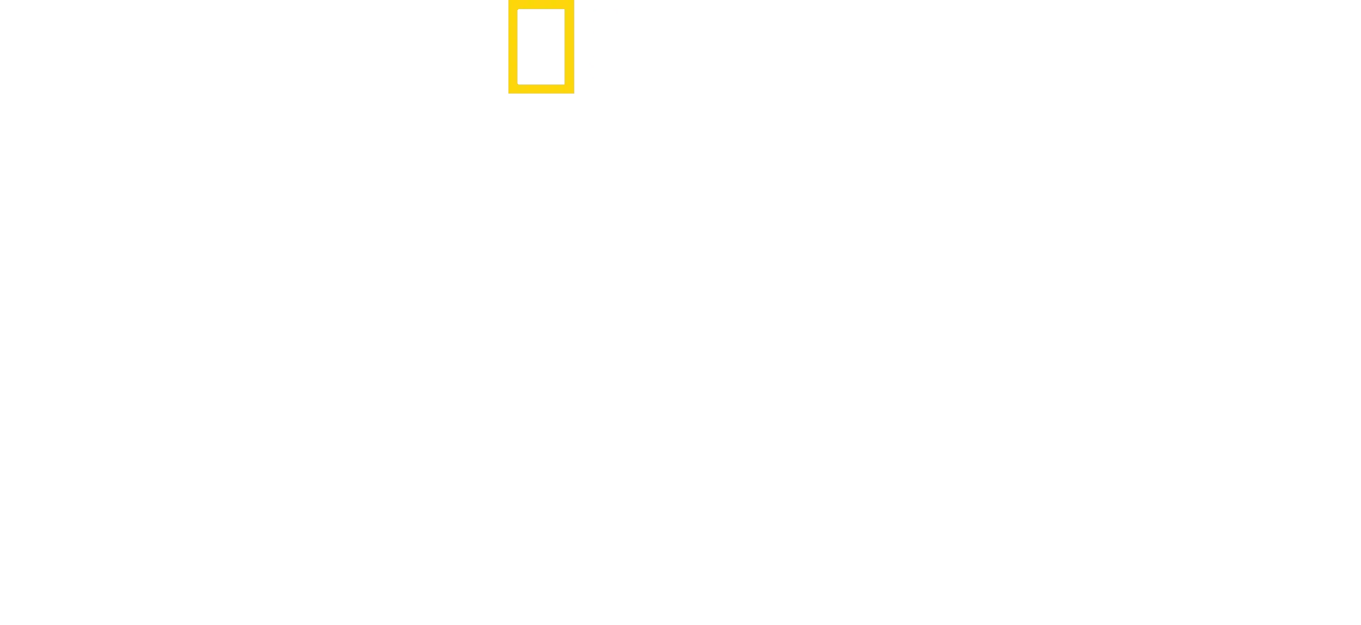 Trädklättrande lejon