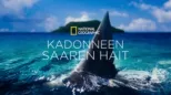 thumbnail - Kadonneen saaren hait