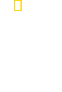 世界名鲨