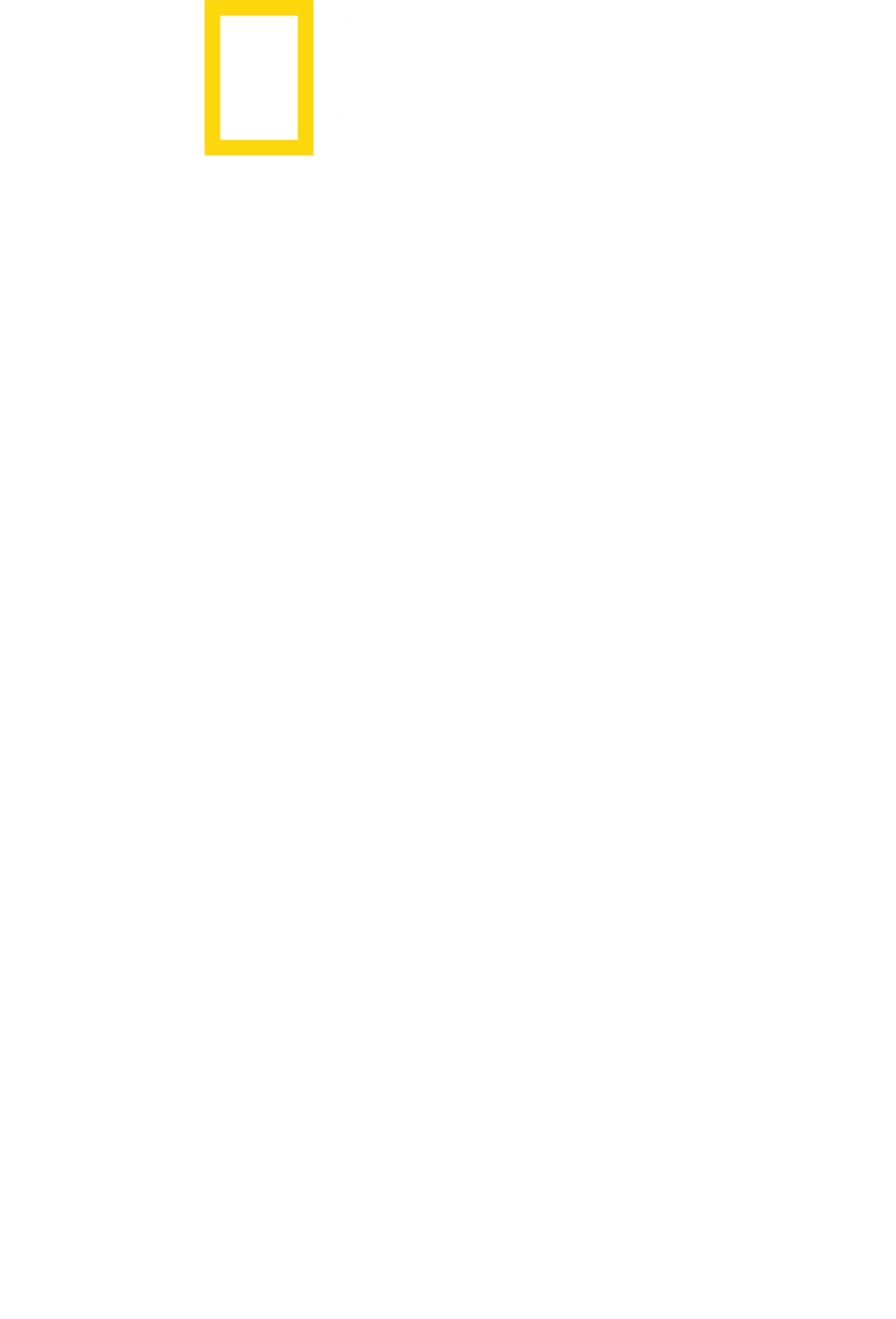 世界名鲨