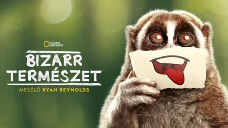 thumbnail - Bizarr természet
