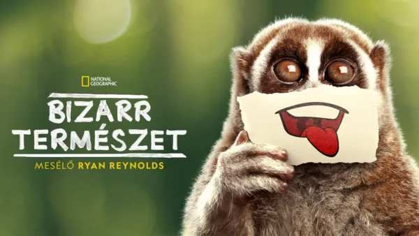 thumbnail - Bizarr természet