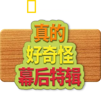 真的 好奇怪幕後特輯