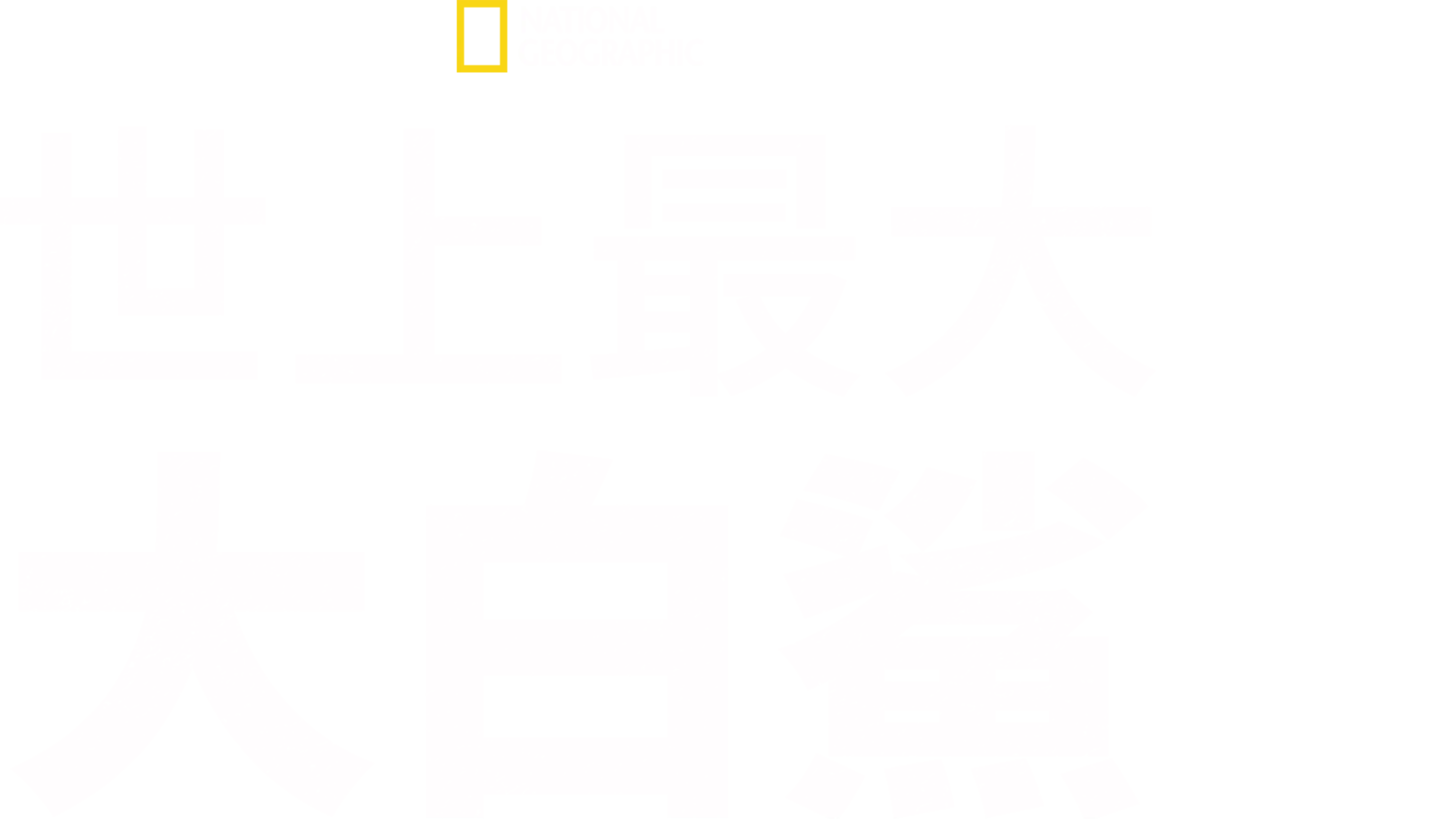 世上最大大白鯊