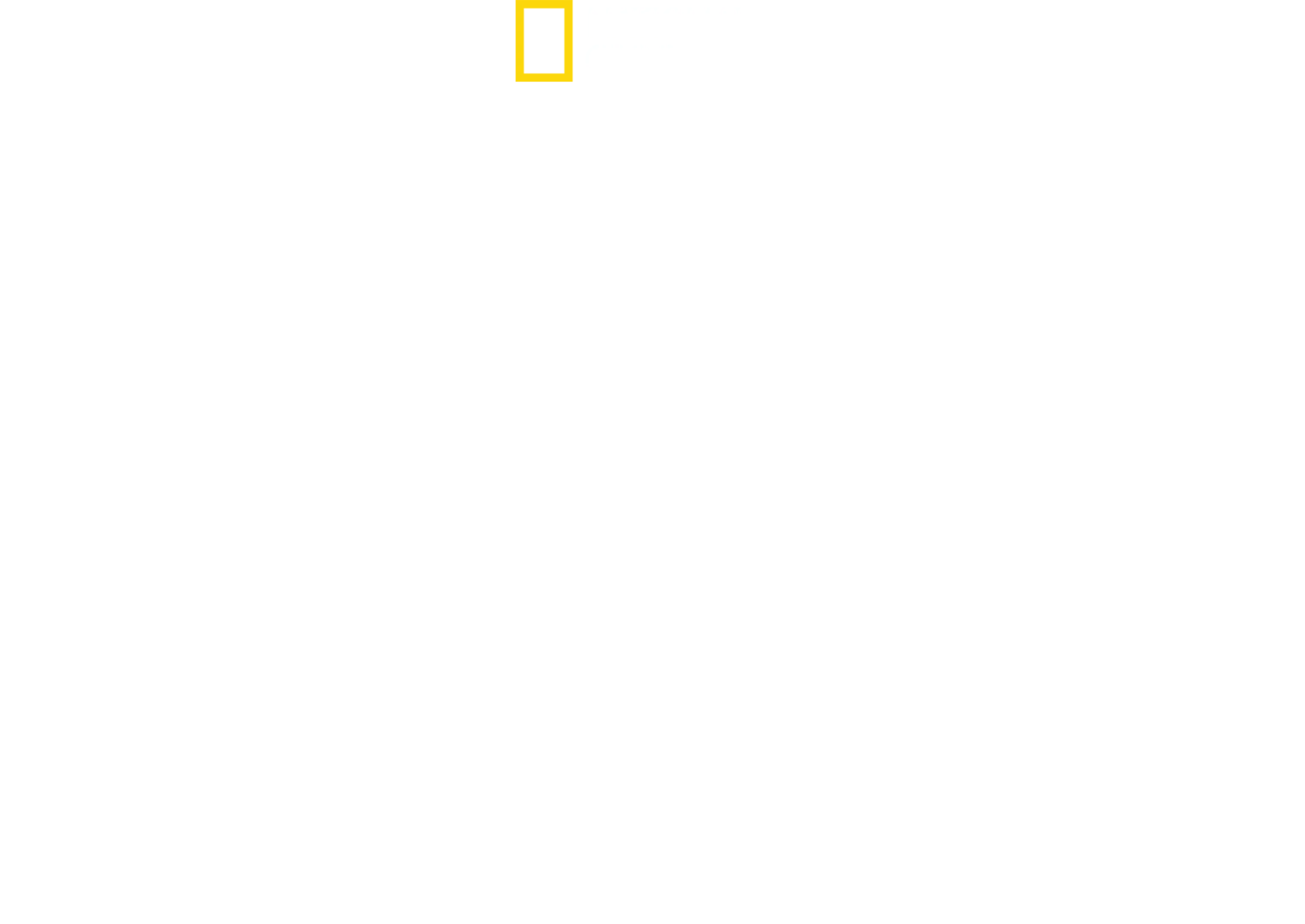 世上最大大白鯊