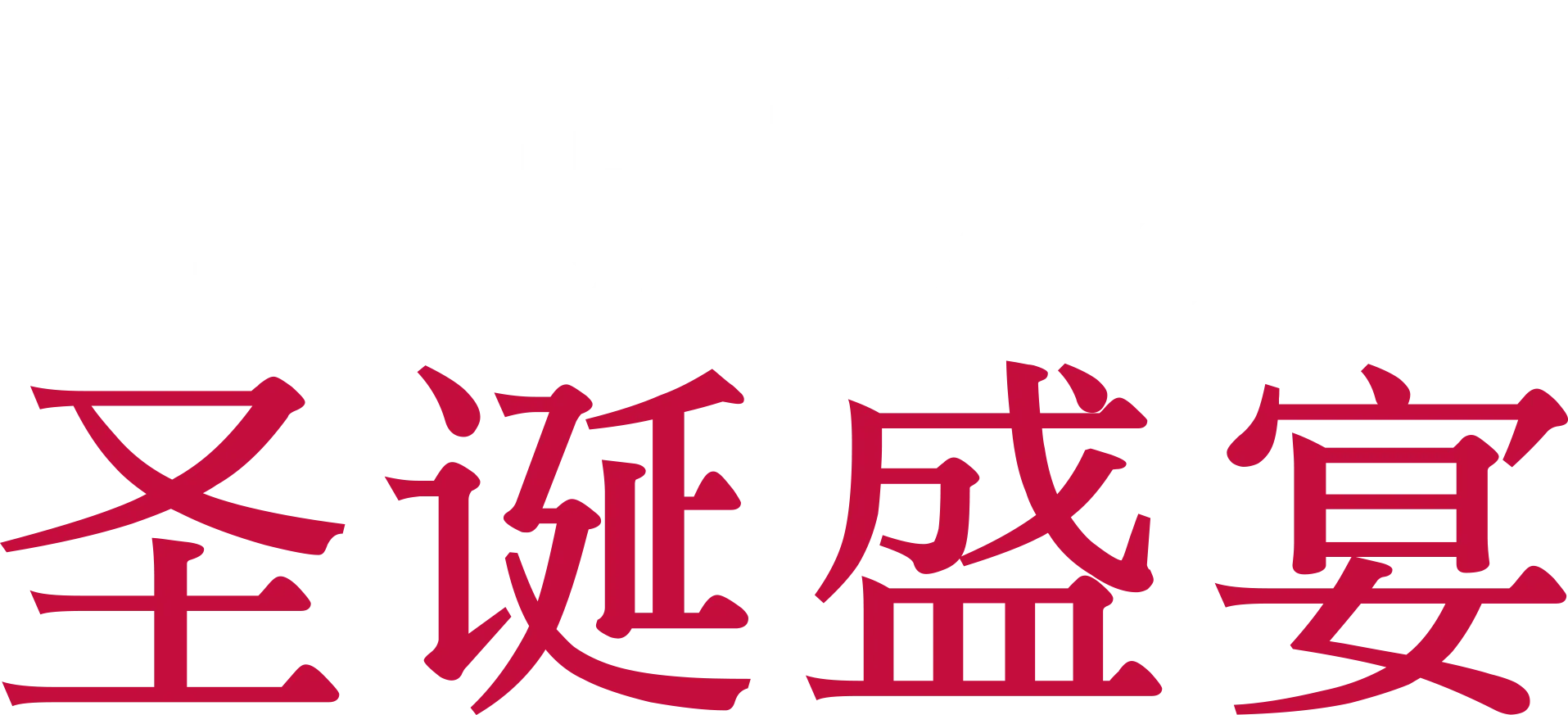 唐娜·海的圣诞盛宴