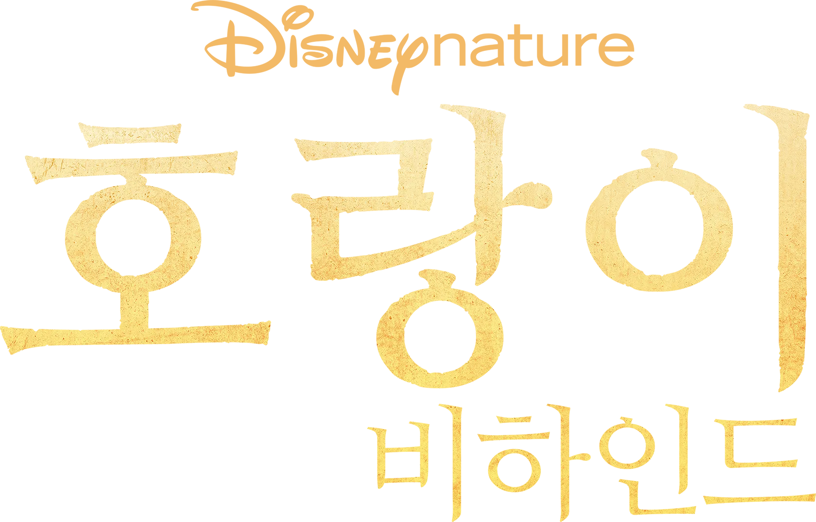 호랑이 비하인드