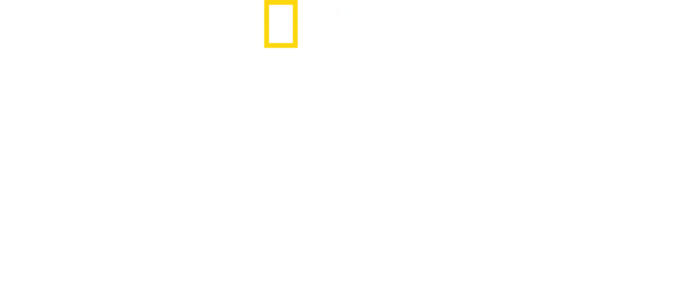 Veszedelmes Afrika