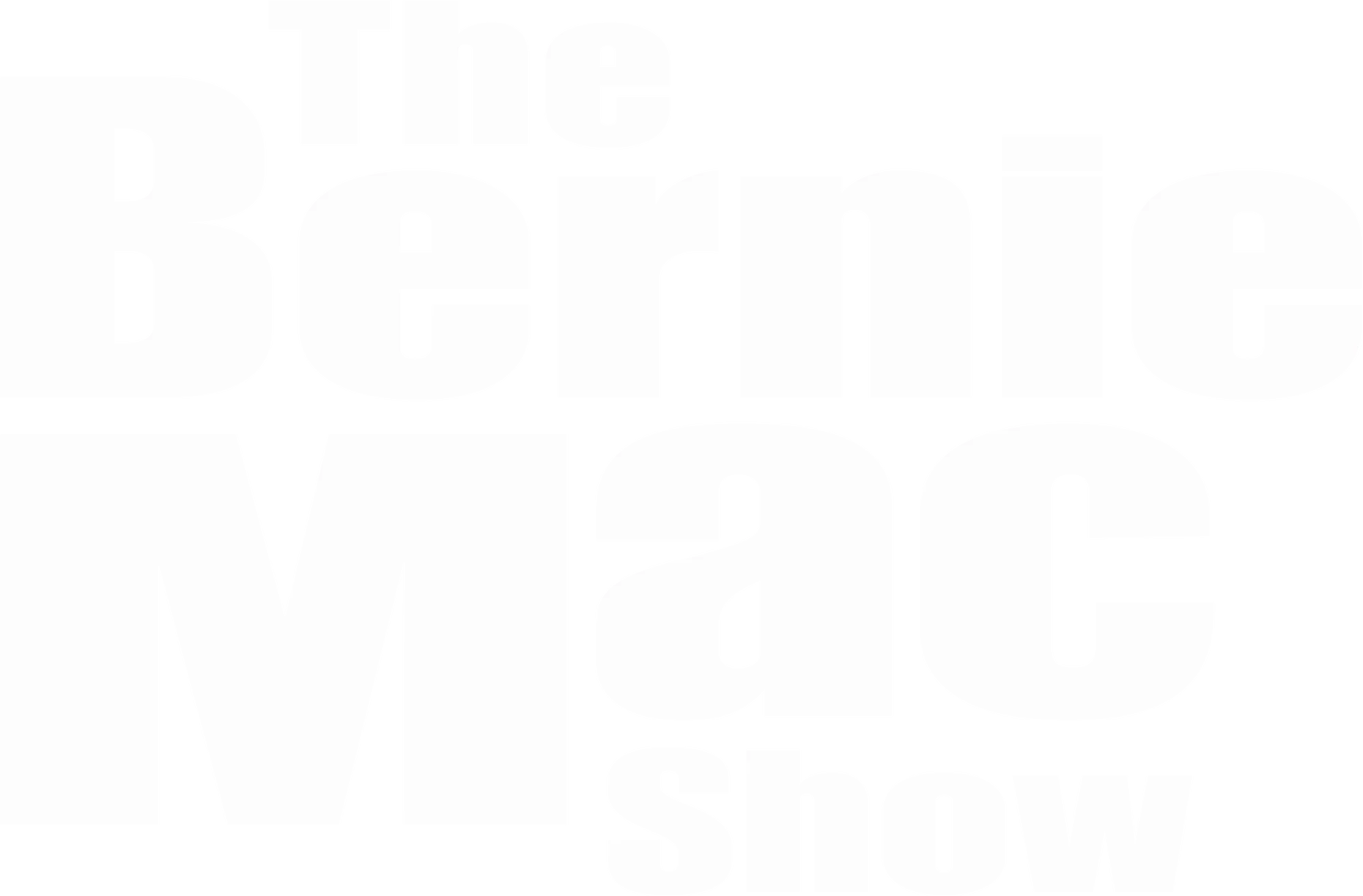 The Bernie Mac Show