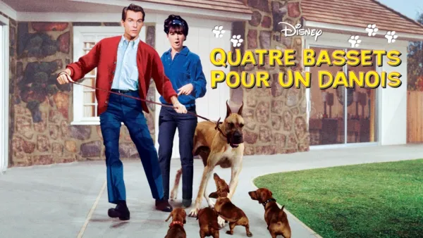 thumbnail - Quatre bassets pour un danois