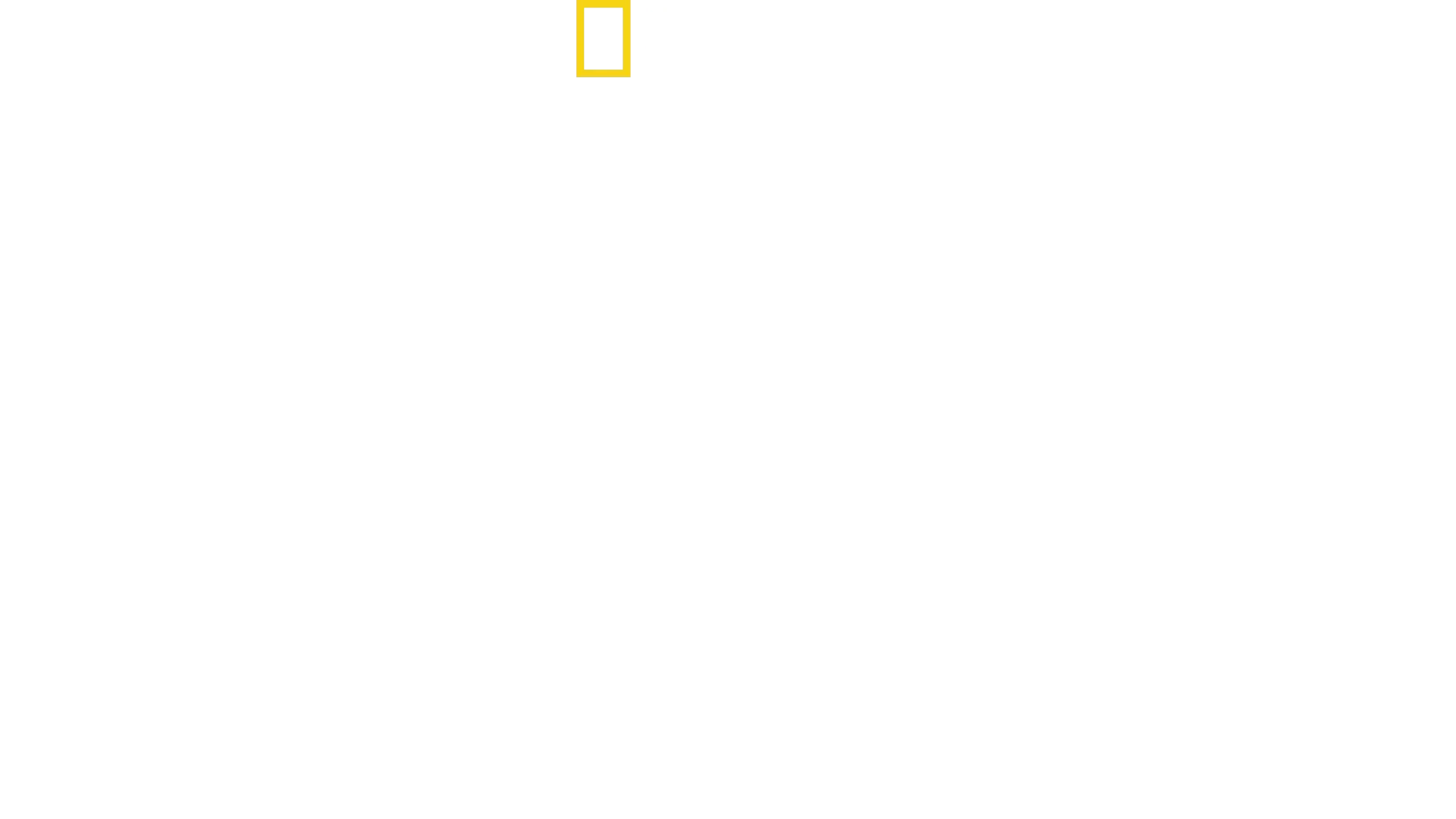 Jane Goodall: toivo