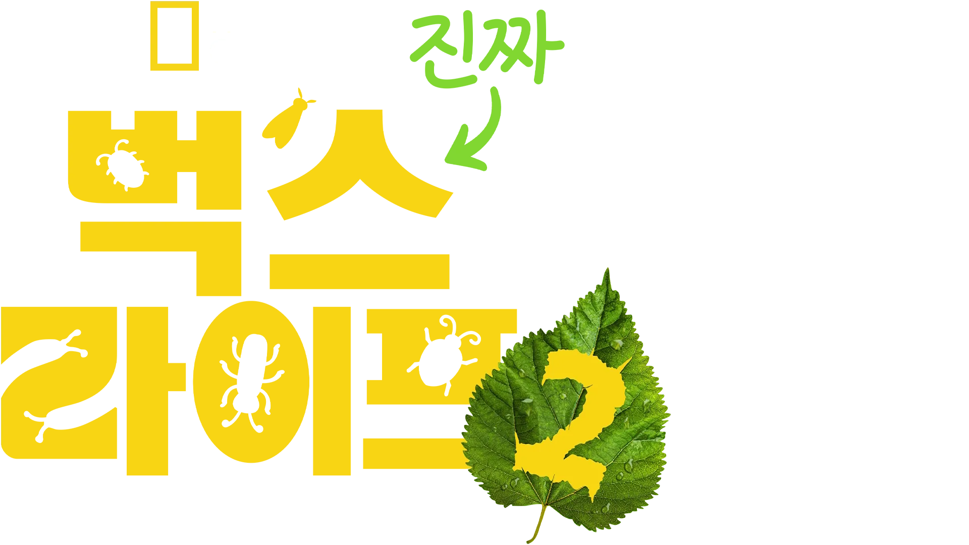 진짜 벅스 라이프