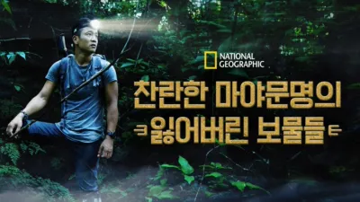 찬란한 마야문명의 잃어버린 보물들