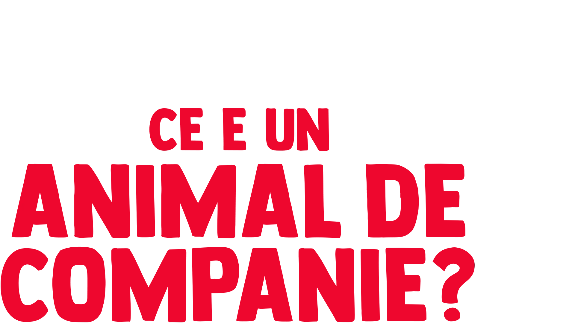 Întrebările lui Furchi: ce e un animal de companie?