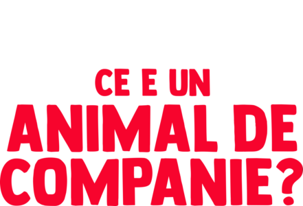 Întrebările lui Furchi: ce e un animal de companie?