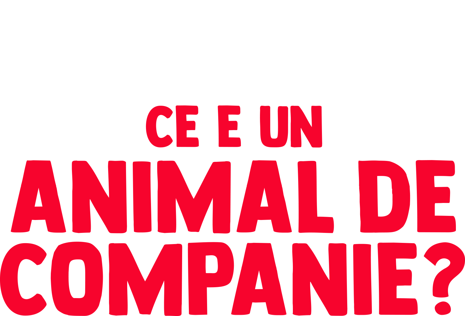 Întrebările lui Furchi: ce e un animal de companie?