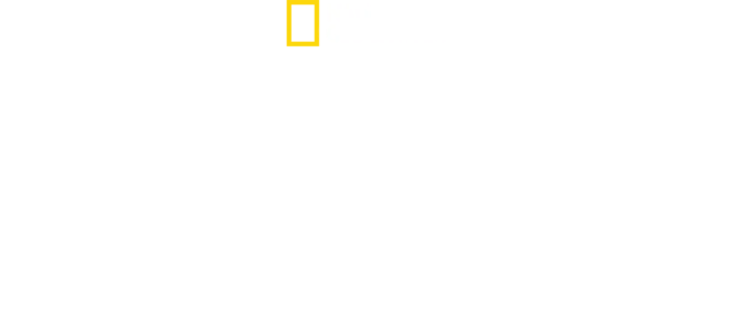 Kraliçe Olmak