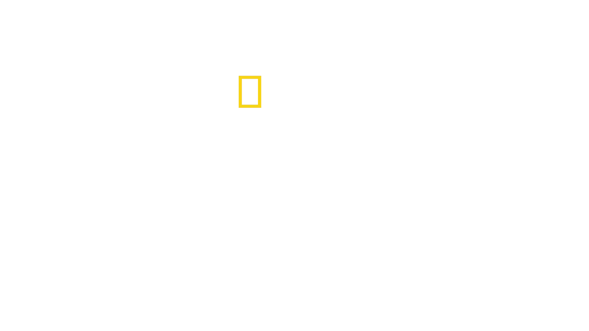 Beskyddare av egyptens skatter