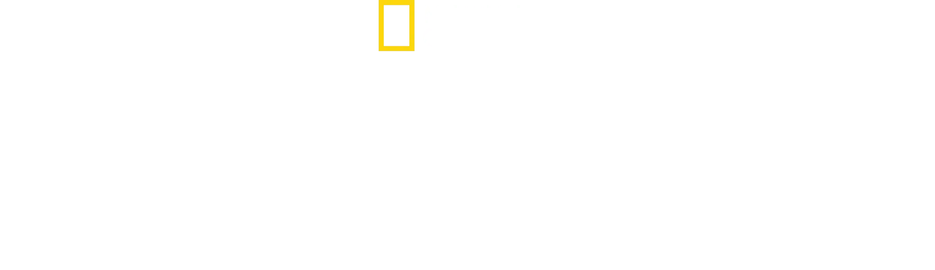Beskyddare av egyptens skatter