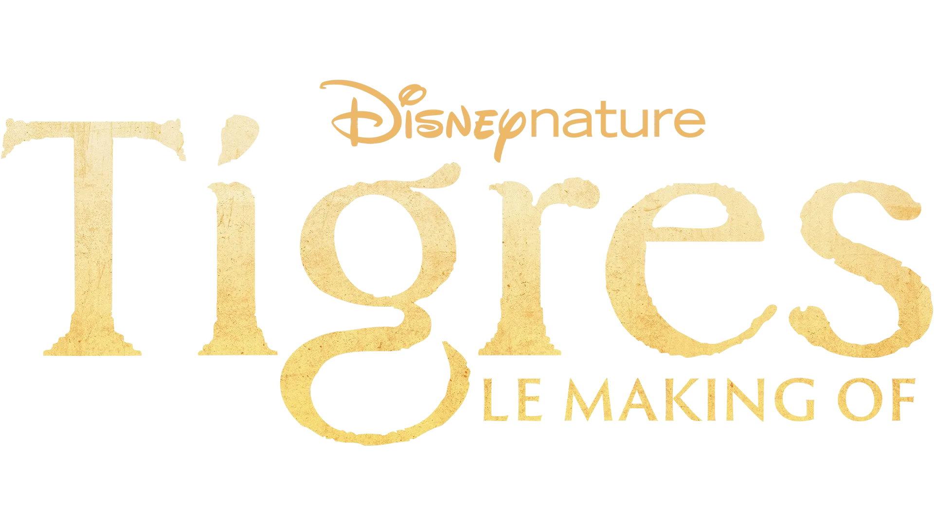 Tigres : le making of