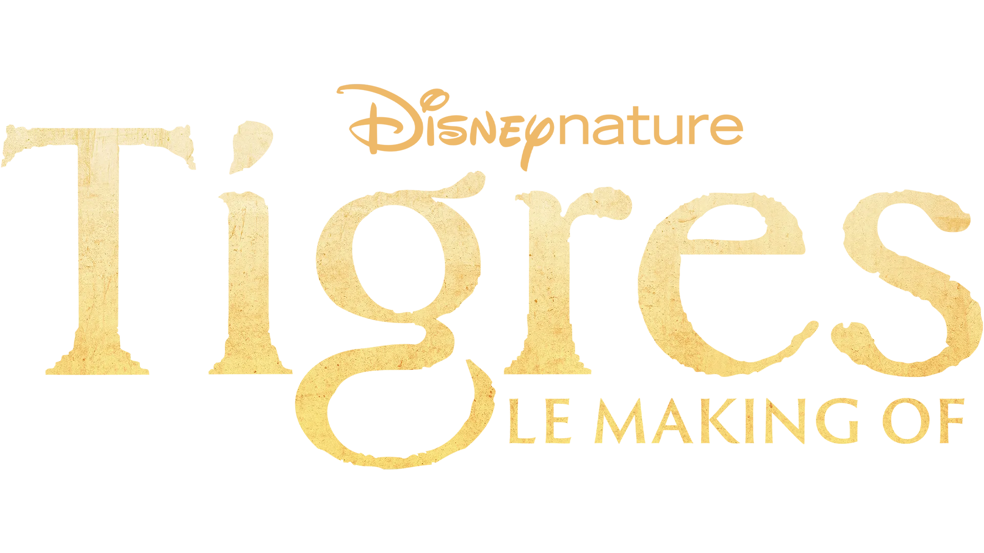 Tigres : le making of