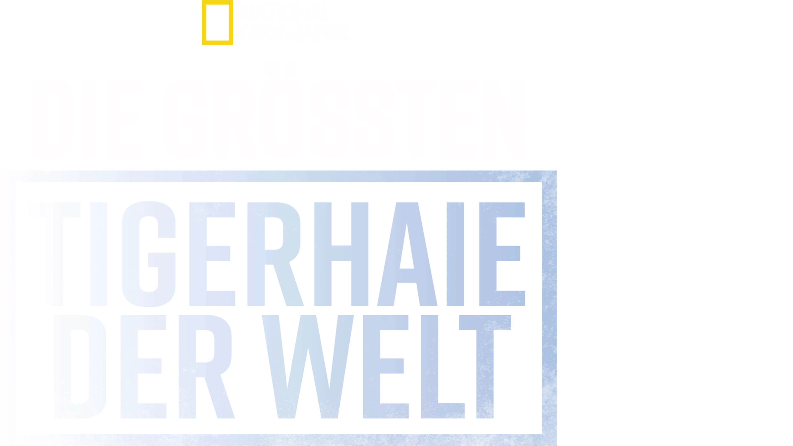 Die größten Tigerhaie der Welt