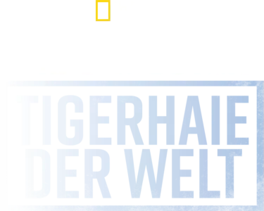Die größten Tigerhaie der Welt