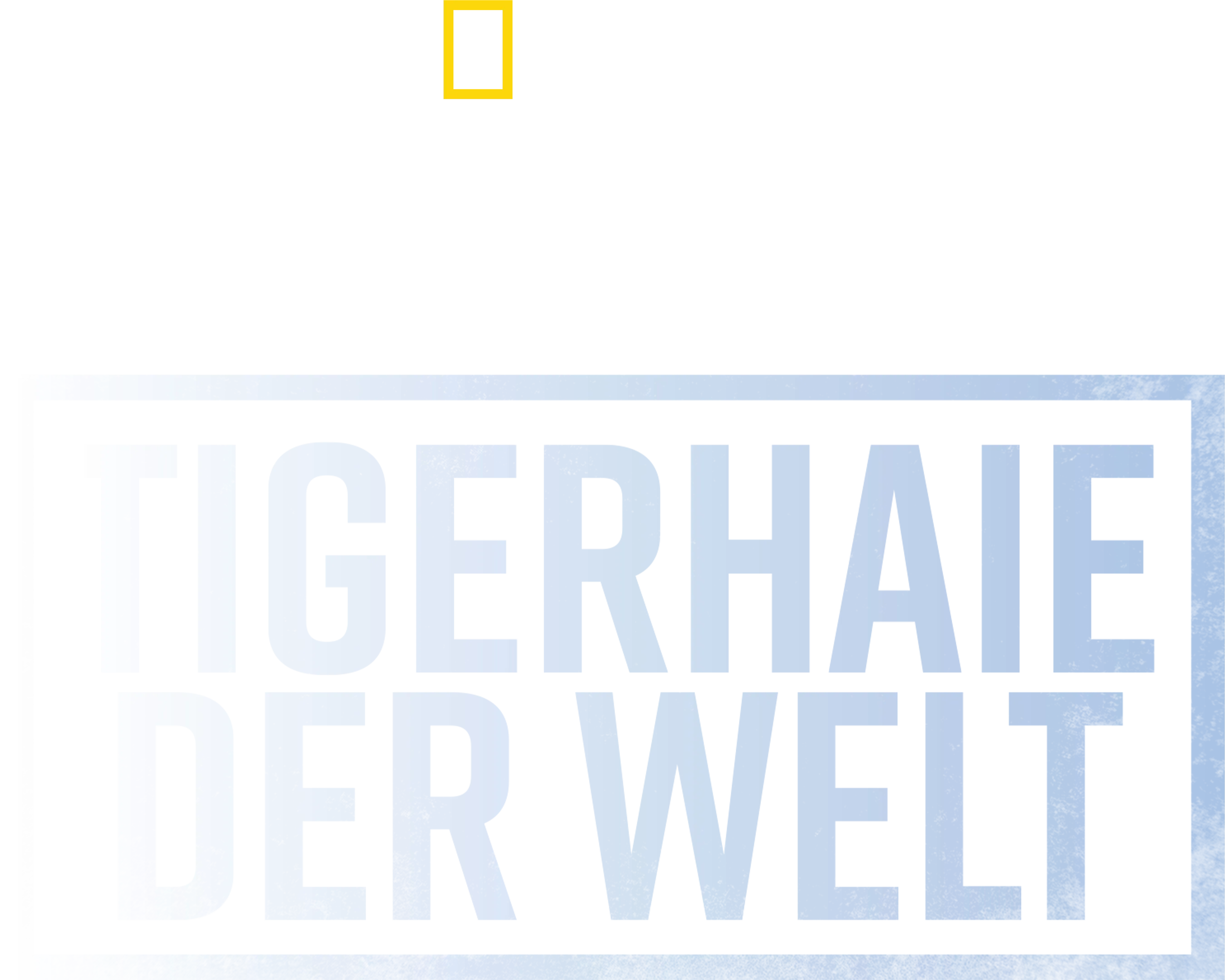Die größten Tigerhaie der Welt