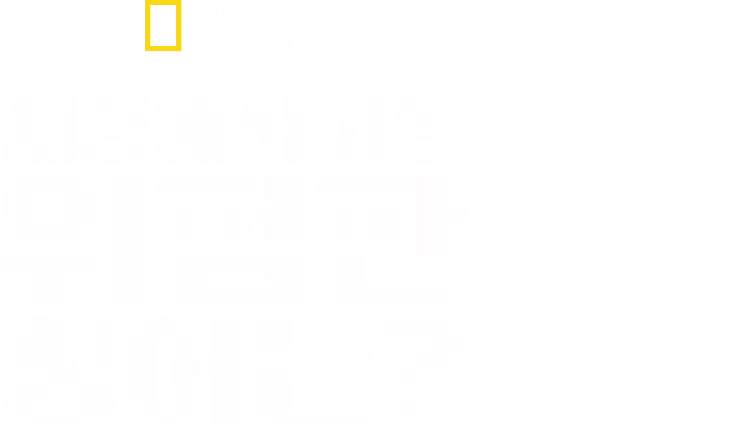 세상에서 가장 위험한 상어는?