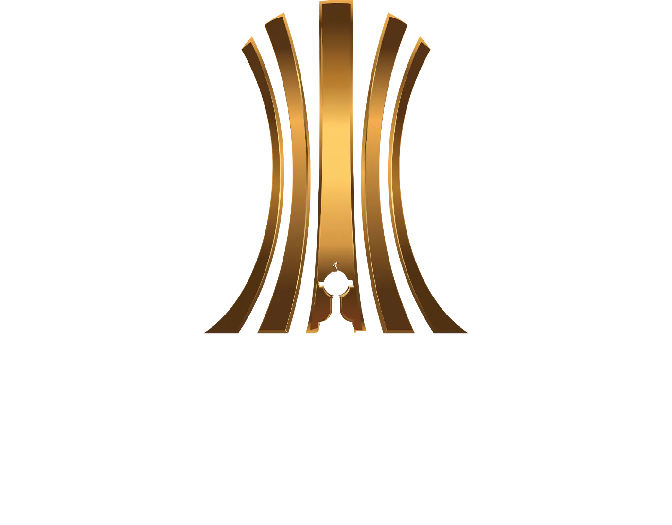 El Show de la Copa Libertadores
