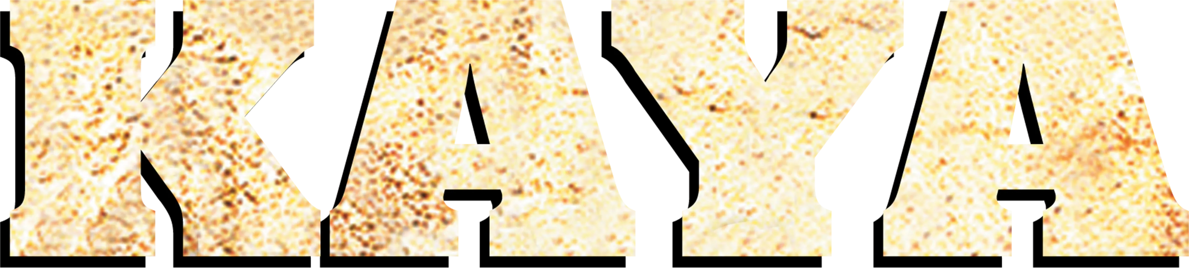 Kaya