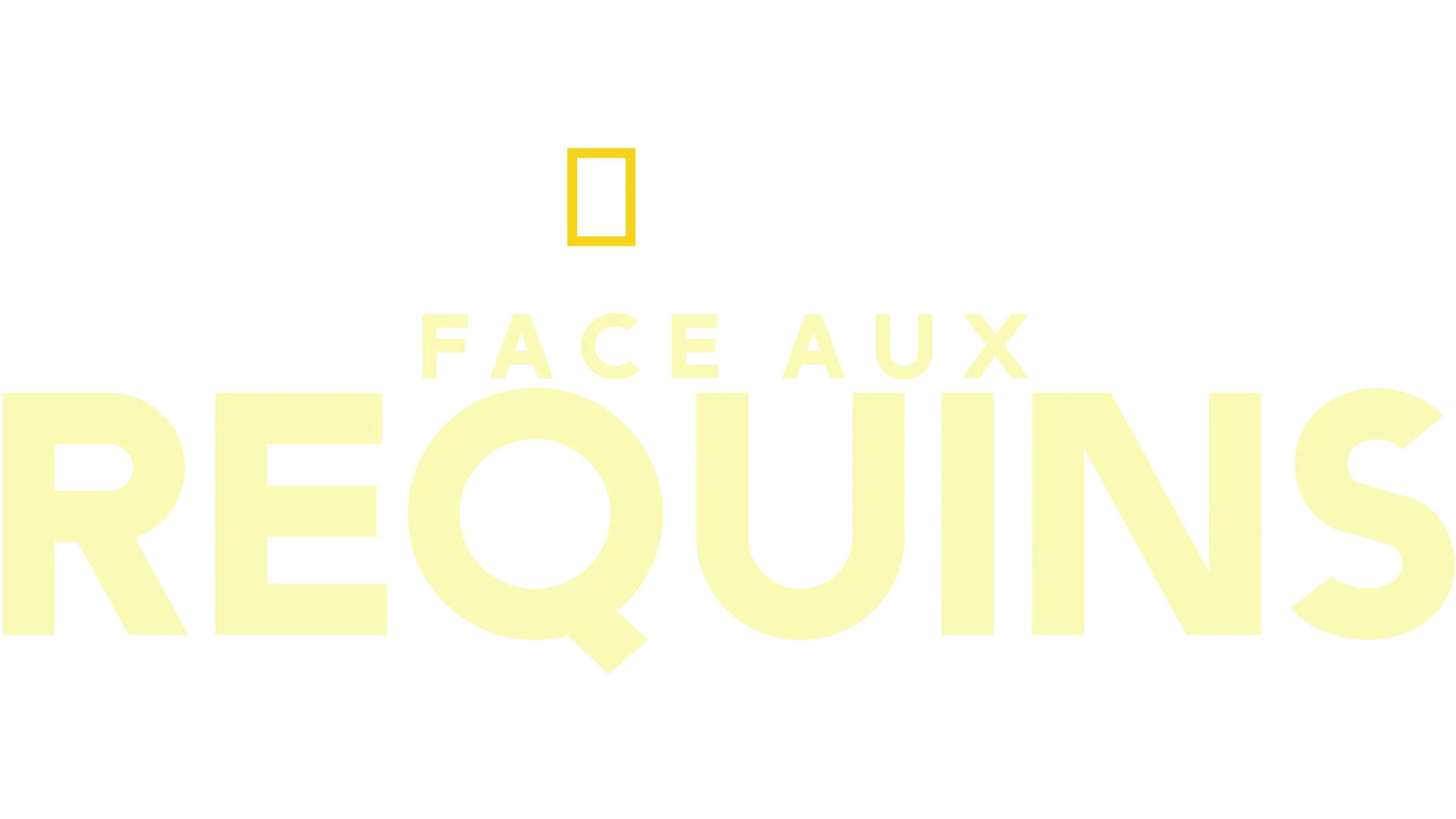 Face aux requins