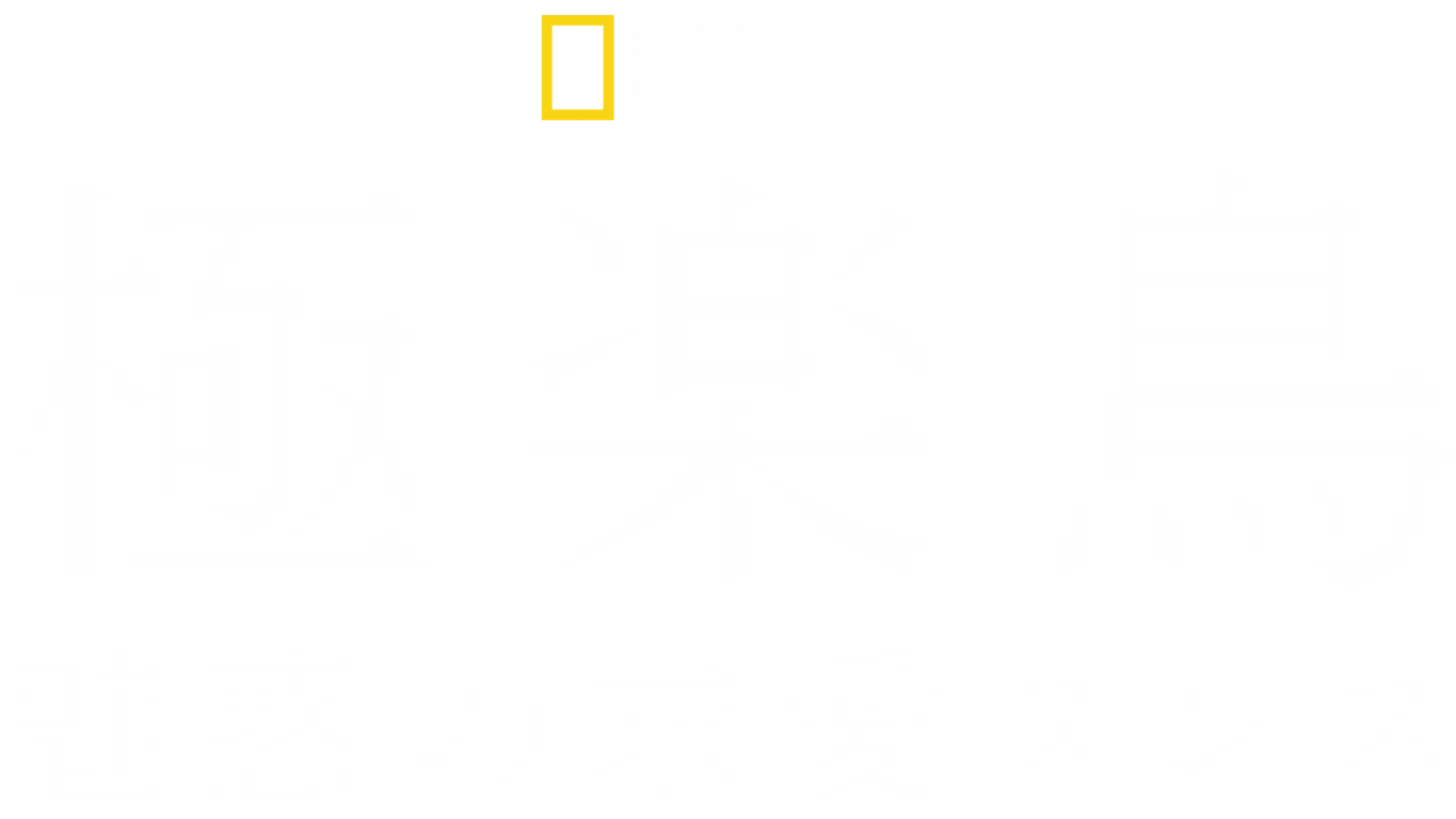 極楽鳥～魅惑の求愛ダンス