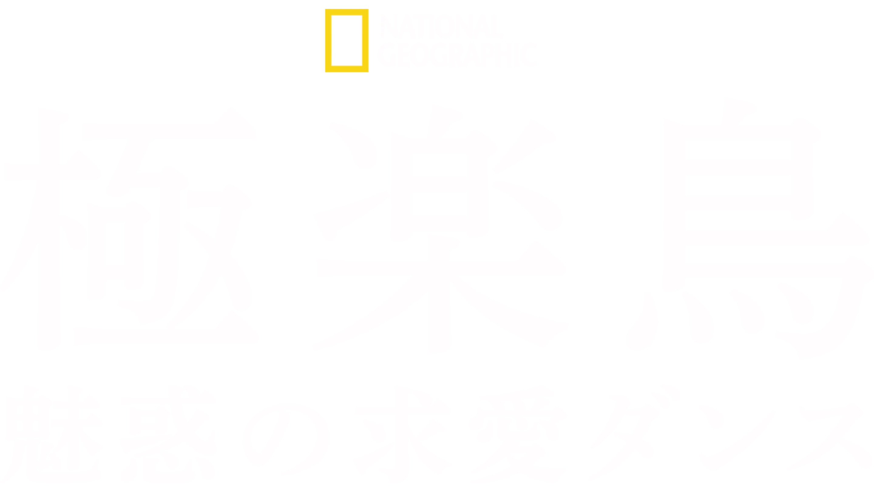 極楽鳥～魅惑の求愛ダンス