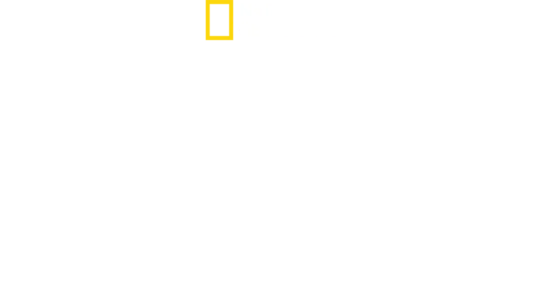 極楽鳥～魅惑の求愛ダンス