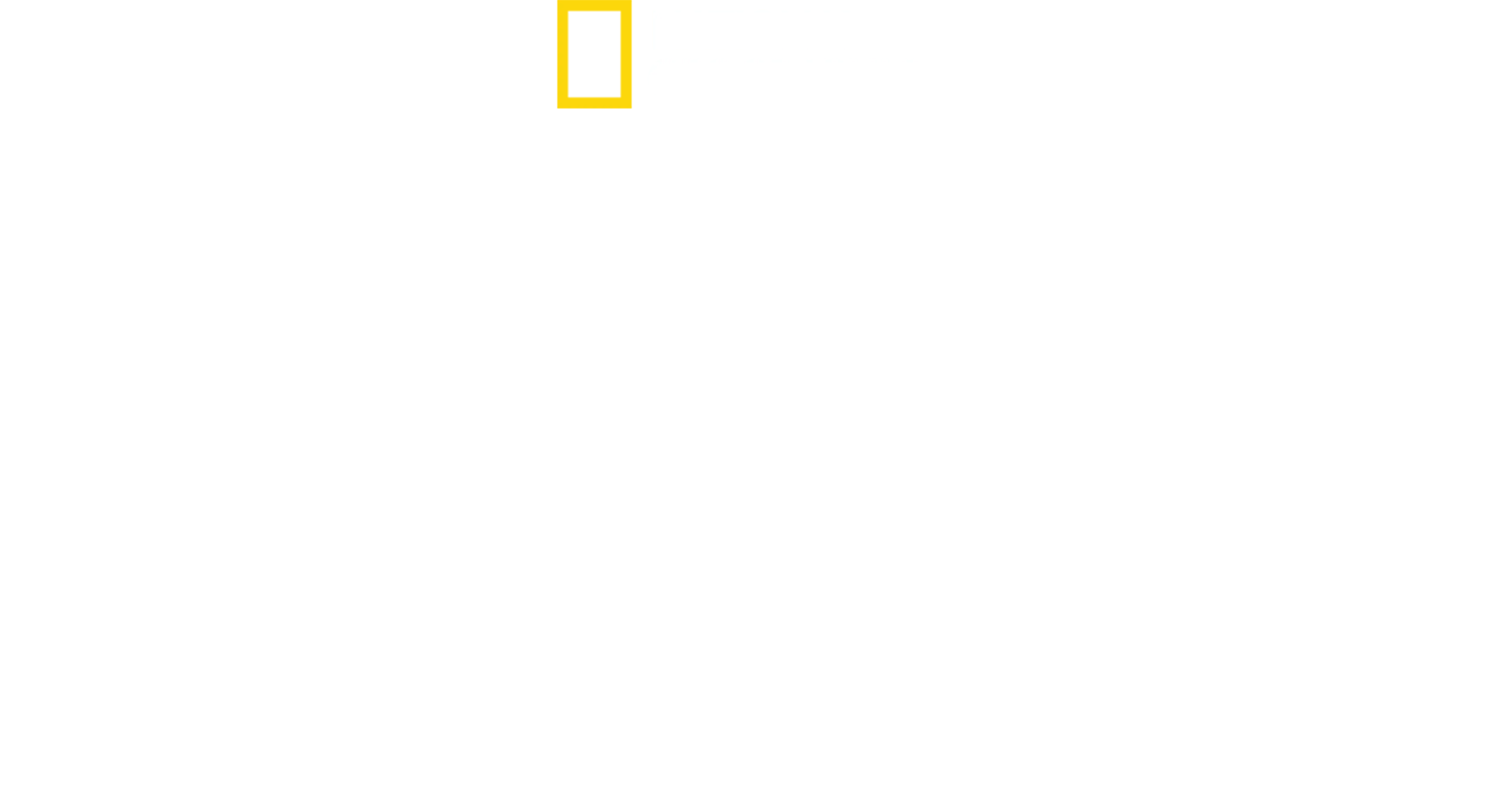 極楽鳥～魅惑の求愛ダンス