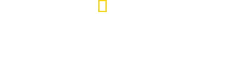 Dorastanie w świecie zwierząt