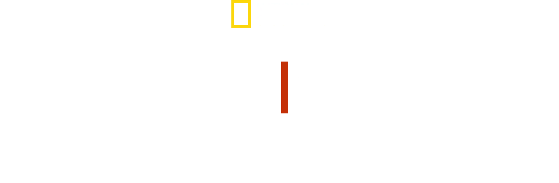 Miłość i wojna: w obiektywie Lynsey Addario