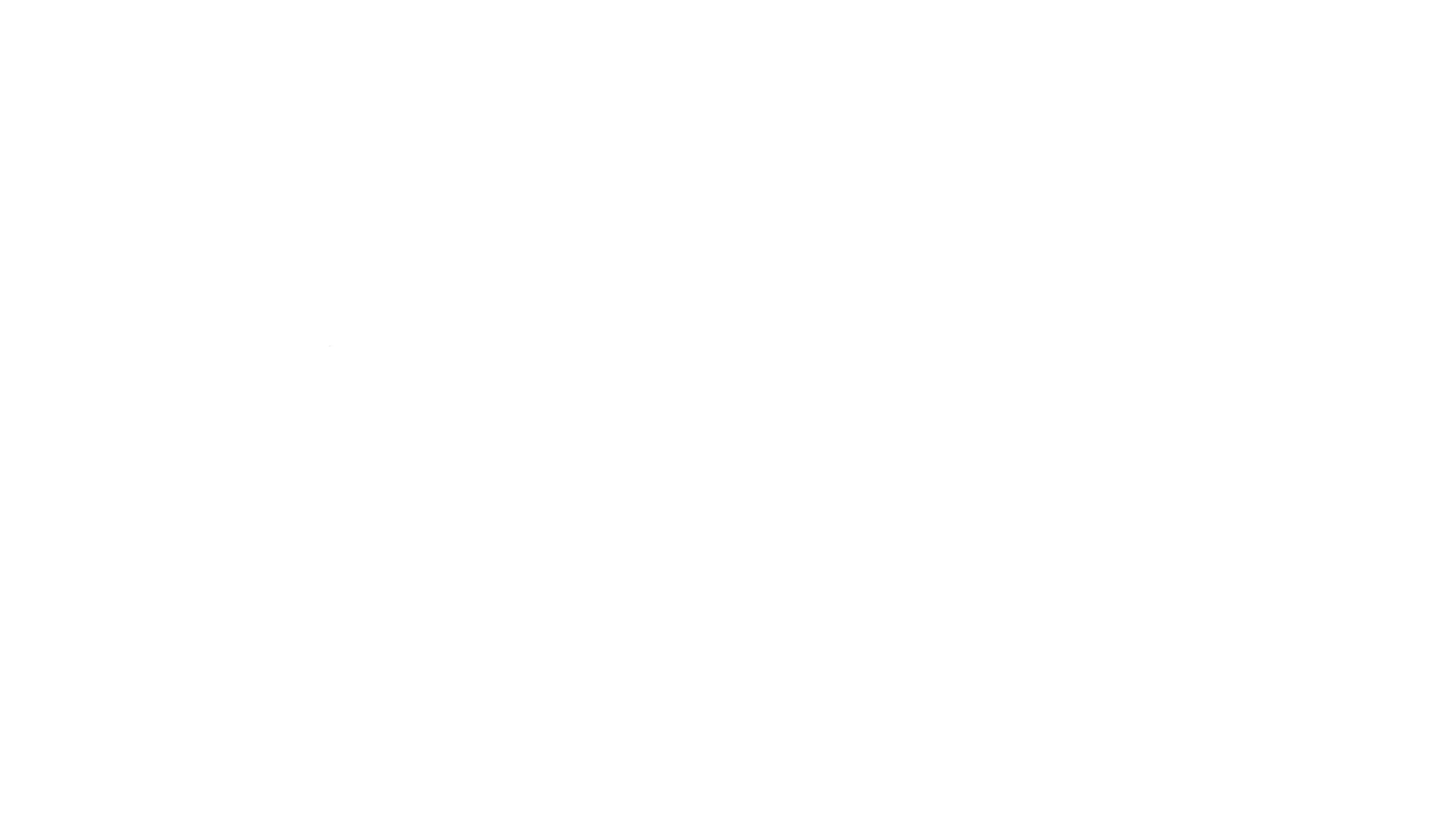 Jusqu’à la racine : histoires de cheveux
