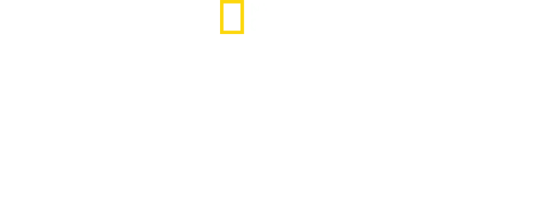 Albert Lin en busca de las ciudades perdidas