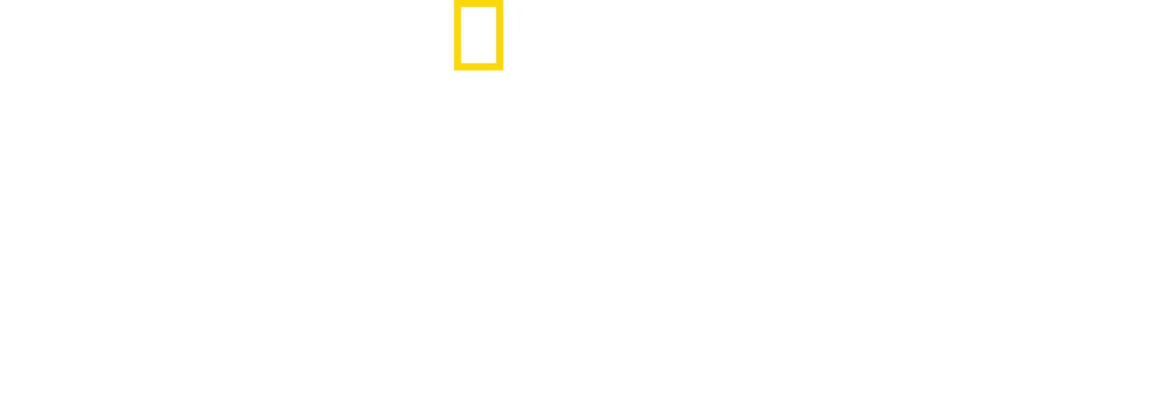 Albert Lin en busca de las ciudades perdidas