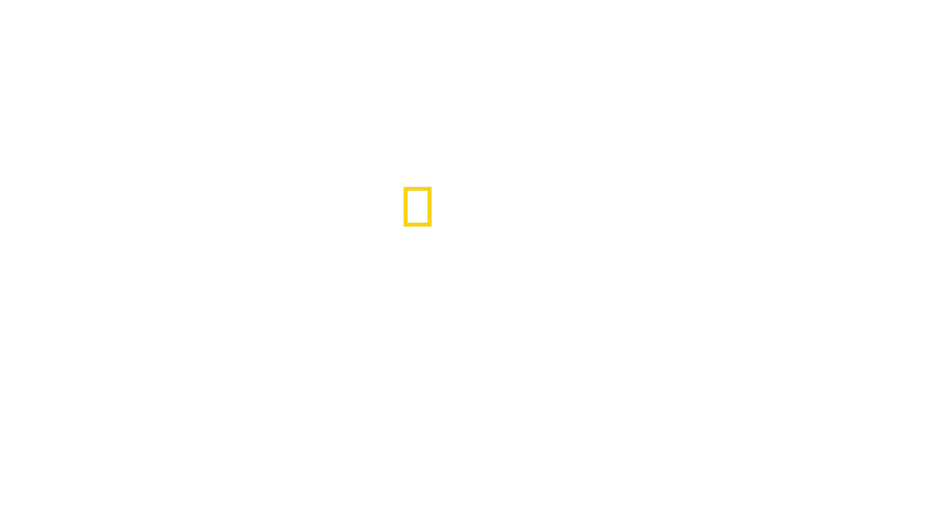 Avant le déluge