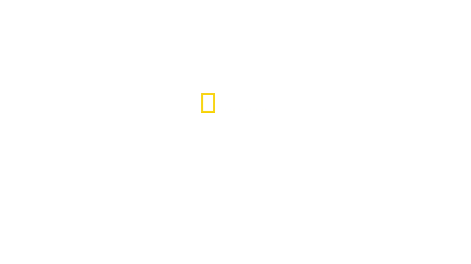 Avant le déluge