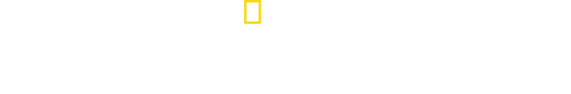 Avant le déluge