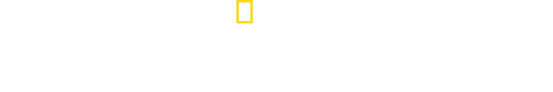 Avant le déluge