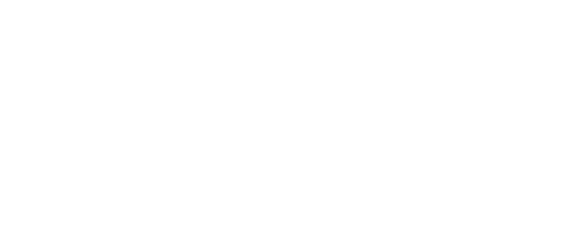 Nos meilleurs amis