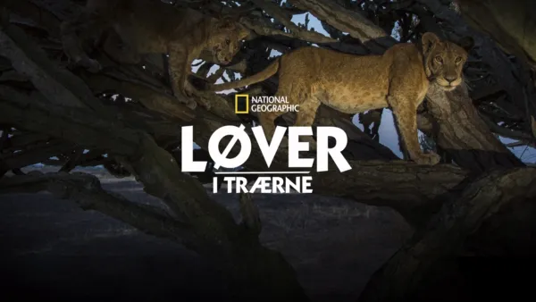 thumbnail - Løver i trærne